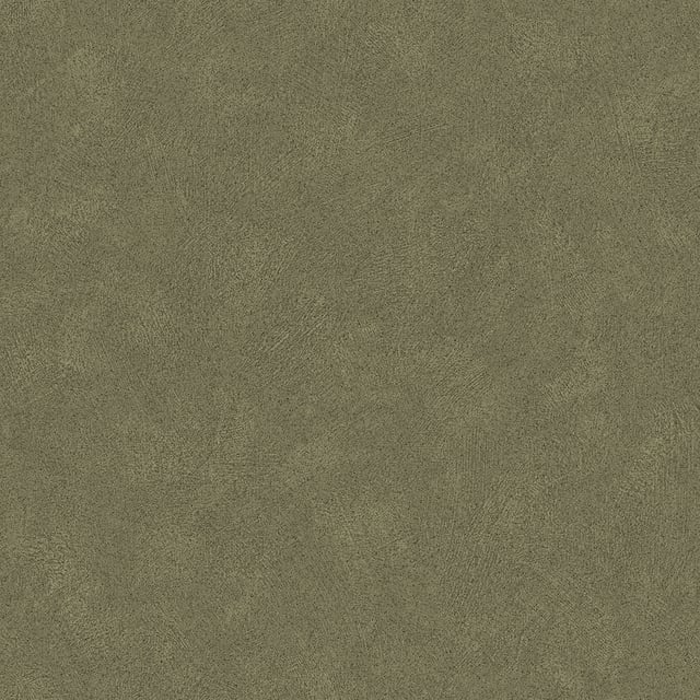 Bild von